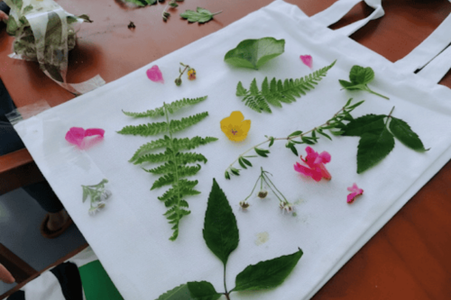 植物拓印